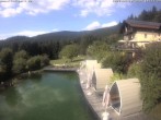 Archiv Foto Webcam Hotel Riedlberg, Bayerischer Wald 15:00