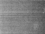 Archiv Foto Webcam Hotel Riedlberg, Bayerischer Wald 03:00