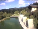 Archiv Foto Webcam Hotel Riedlberg, Bayerischer Wald 11:00