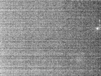 Archiv Foto Webcam Hotel Riedlberg, Bayerischer Wald 01:00