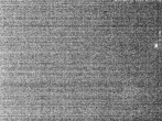 Archiv Foto Webcam Hotel Riedlberg, Bayerischer Wald 01:00