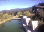 Archived image Webcam Hotel Riedlberg, Bavarian Forest 09:00