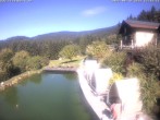 Archived image Webcam Hotel Riedlberg, Bavarian Forest 11:00