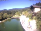 Archiv Foto Webcam Hotel Riedlberg, Bayerischer Wald 12:00