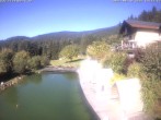 Archiv Foto Webcam Hotel Riedlberg, Bayerischer Wald 13:00