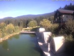 Archiv Foto Webcam Hotel Riedlberg, Bayerischer Wald 09:00