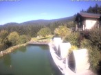 Archiv Foto Webcam Hotel Riedlberg, Bayerischer Wald 11:00