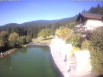 Archiv Foto Webcam Hotel Riedlberg, Bayerischer Wald 13:00