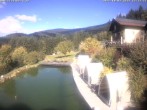 Archiv Foto Webcam Hotel Riedlberg, Bayerischer Wald 11:00