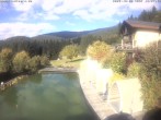 Archiv Foto Webcam Hotel Riedlberg, Bayerischer Wald 13:00