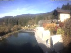 Archiv Foto Webcam Hotel Riedlberg, Bayerischer Wald 11:00