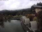 Archiv Foto Webcam Hotel Riedlberg, Bayerischer Wald 09:00
