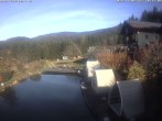 Archiv Foto Webcam Hotel Riedlberg, Bayerischer Wald 09:00