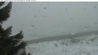 Archiv Foto Webcam Garfrescha 09:00