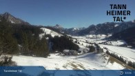 Archiv Foto Webcam Obere Halde - Zöblen / Tannheimer Tal 12:00