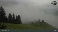 Archiv Foto Webcam Obere Halde - Zöblen / Tannheimer Tal 16:00