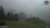 Archiv Foto Webcam Obere Halde - Zöblen / Tannheimer Tal 14:00
