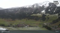Archiv Foto Webcam Obere Halde - Zöblen / Tannheimer Tal 12:00