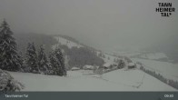 Archiv Foto Webcam Obere Halde - Zöblen / Tannheimer Tal 08:00