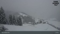 Archiv Foto Webcam Obere Halde - Zöblen / Tannheimer Tal 10:00
