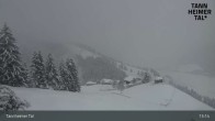 Archiv Foto Webcam Obere Halde - Zöblen / Tannheimer Tal 12:00