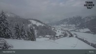 Archiv Foto Webcam Obere Halde - Zöblen / Tannheimer Tal 14:00