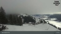 Archiv Foto Webcam Obere Halde - Zöblen / Tannheimer Tal 10:00