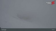 Archiv Foto Webcam Rastkogel, Tuxer Alpen 16:00