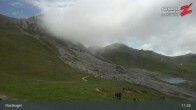 Archiv Foto Webcam Rastkogel, Tuxer Alpen 10:00