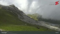 Archiv Foto Webcam Rastkogel, Tuxer Alpen 14:00