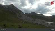Archiv Foto Webcam Rastkogel, Tuxer Alpen 06:00