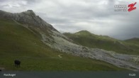 Archiv Foto Webcam Rastkogel, Tuxer Alpen 14:00