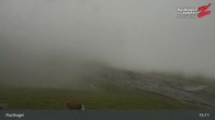 Archiv Foto Webcam Rastkogel, Tuxer Alpen 14:00