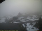 Archiv Foto Webcam Berghaus Arflina / Heuberge 11:00