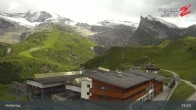 Archiv Foto Webcam Hintertuxer Gletscher: Sommerberg 14:00