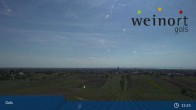 Archiv Foto Webcam Weinort Gols 14:00