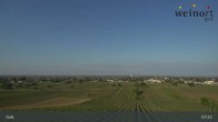 Archiv Foto Webcam Weinort Gols 06:00