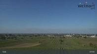 Archiv Foto Webcam Weinort Gols 07:00