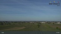 Archiv Foto Webcam Weinort Gols 07:00