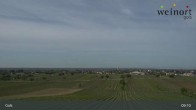 Archiv Foto Webcam Weinort Gols 08:00