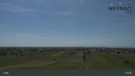Archiv Foto Webcam Weinort Gols 12:00