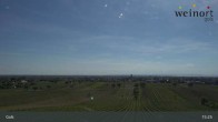 Archiv Foto Webcam Weinort Gols 14:00