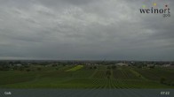 Archiv Foto Webcam Weinort Gols 06:00