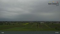 Archiv Foto Webcam Weinort Gols 07:00