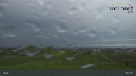 Archiv Foto Webcam Weinort Gols 08:00