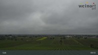 Archiv Foto Webcam Weinort Gols 08:00