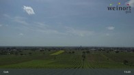 Archiv Foto Webcam Weinort Gols 12:00