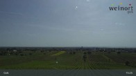 Archiv Foto Webcam Weinort Gols 14:00