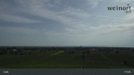 Archiv Foto Webcam Weinort Gols 16:00