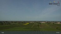 Archiv Foto Webcam Weinort Gols 06:00